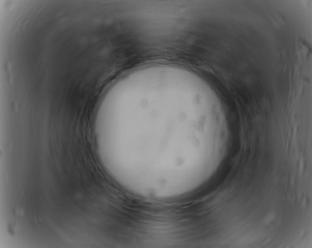 X0000097790705200803070935