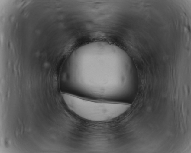 X0000097790708200803070935