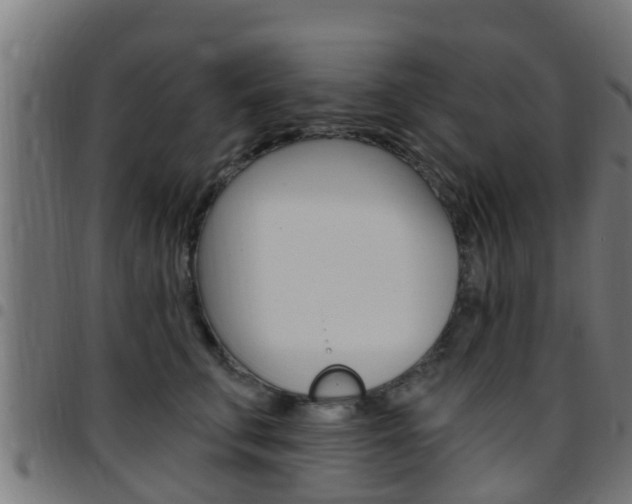 X0000097790711200803070935