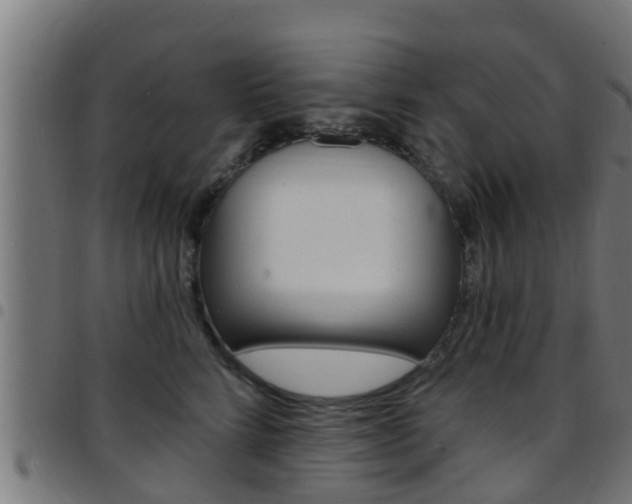 X0000097790712200803070935