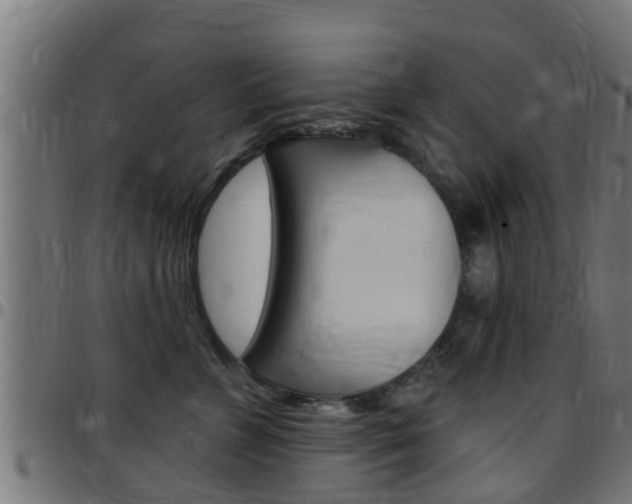 X0000097790715200803070935