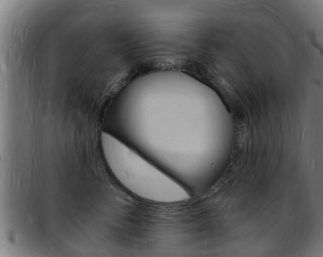 X0000097790716200803070935