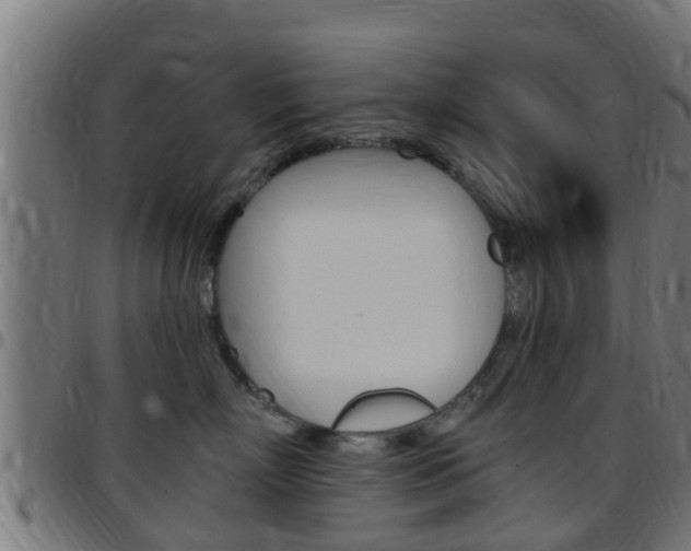 X0000097790718200803070935