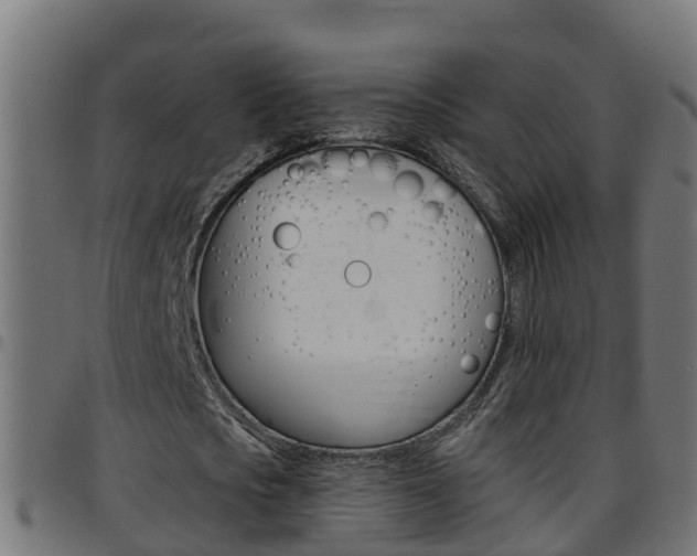 X0000097790721200803070934