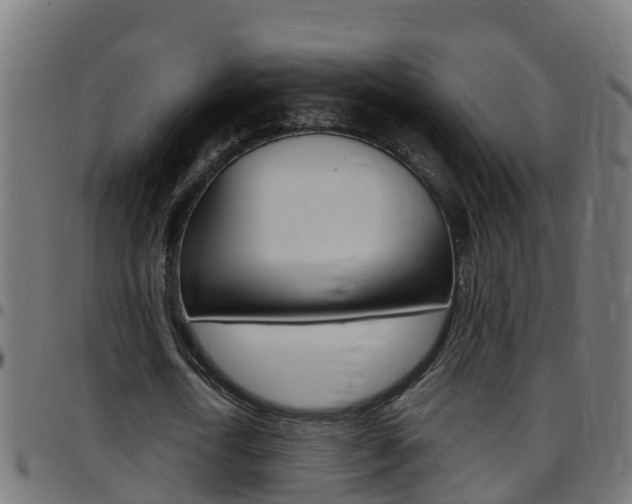 X0000097790722200803070934