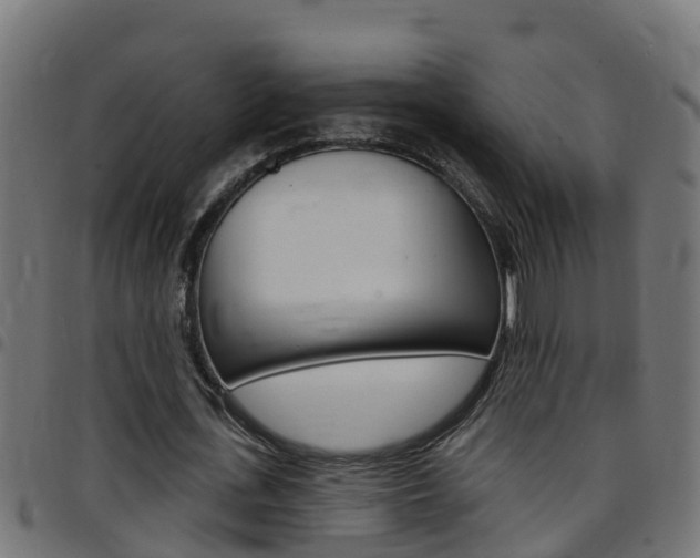 X0000097790723200803070934