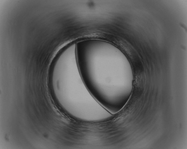 X0000097790724200803070934