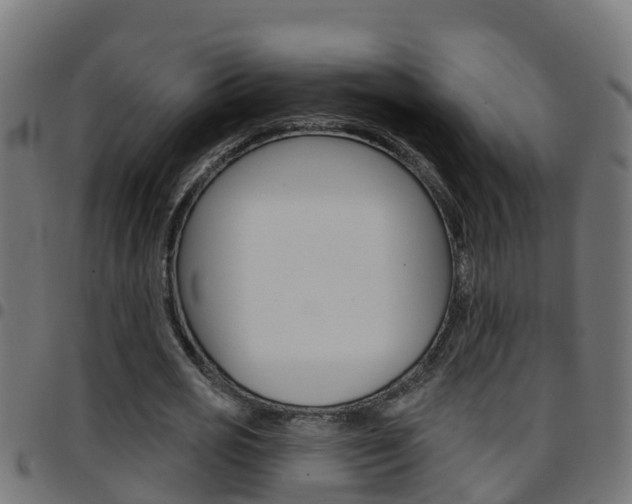 X0000097790725200803070934