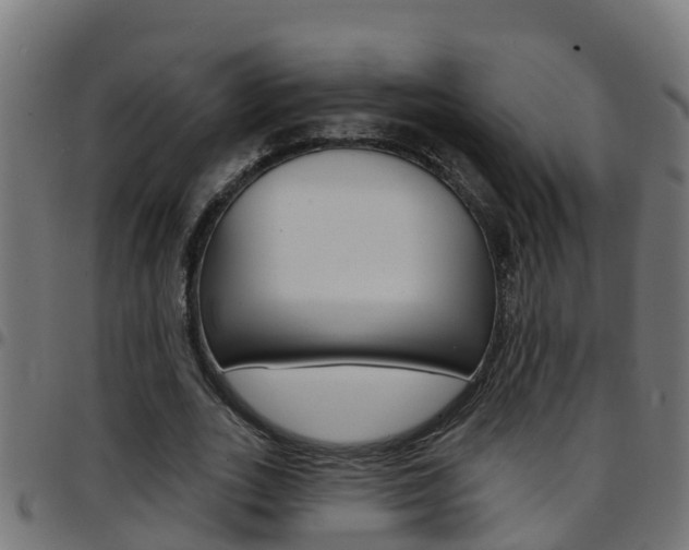 X0000097790727200803070934