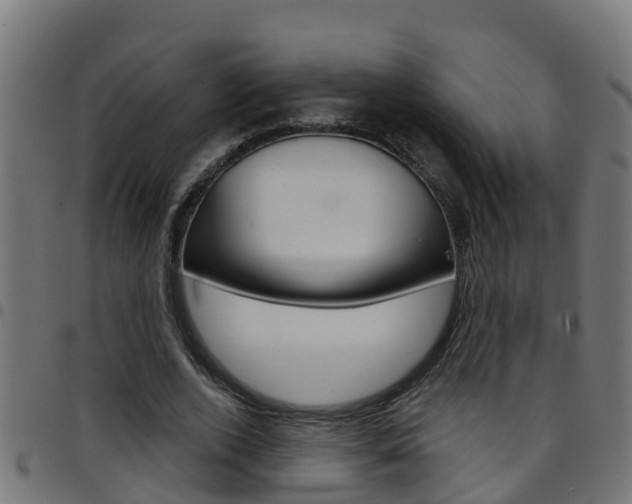 X0000097790728200803070934