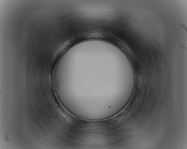 X0000097790729200803070934