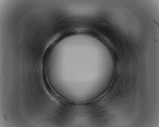 X0000097790730200803070934