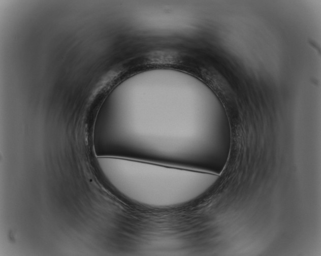 X0000097790731200803070935
