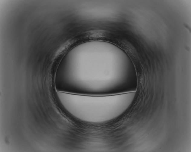 X0000097790732200803070935