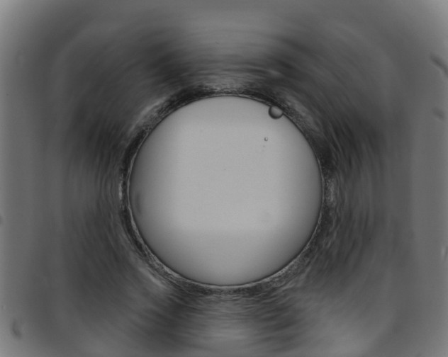 X0000097790733200803070935