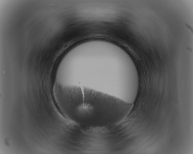 X0000097790734200803070935