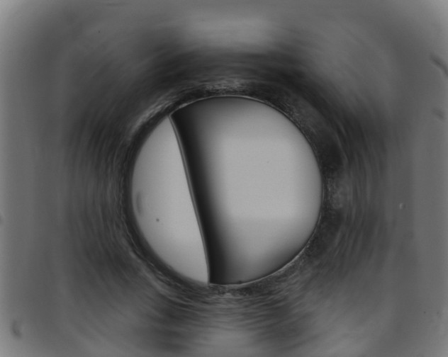 X0000097790735200803070935