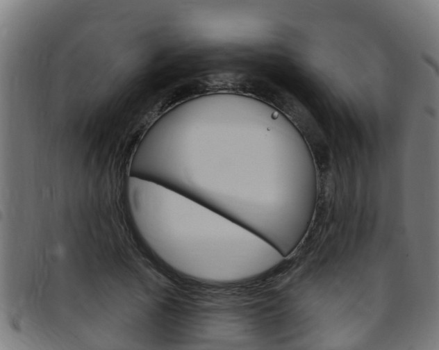 X0000097790737200803070935