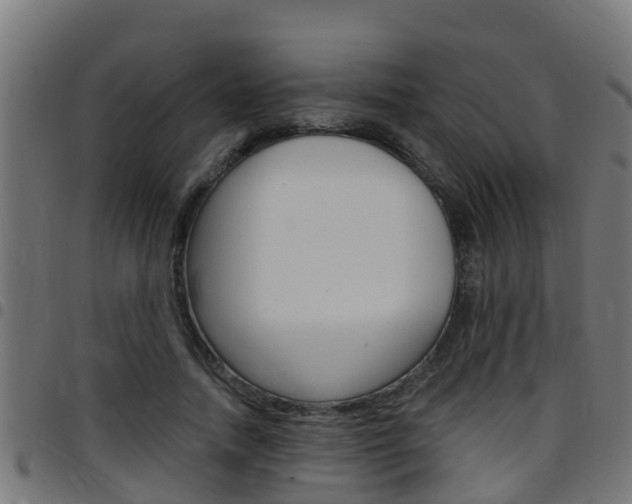 X0000097790738200803070935