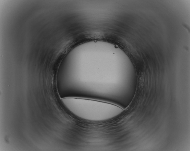 X0000097790739200803070935