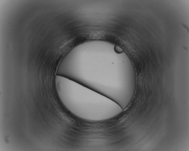 X0000097790741200803070935
