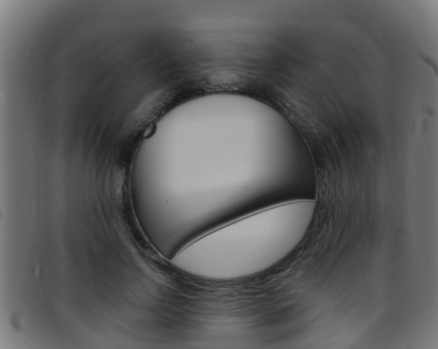 X0000097790742200803070935