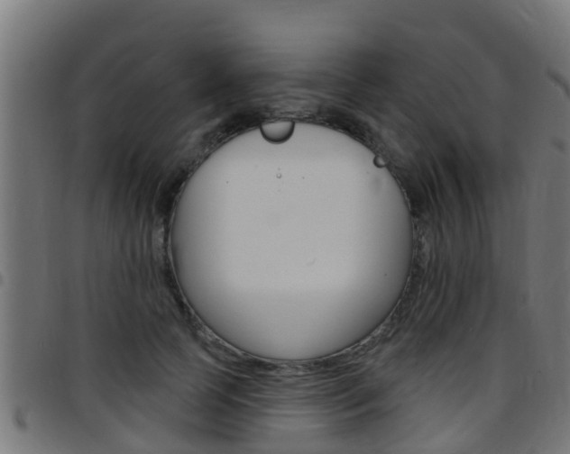 X0000097790745200803070935