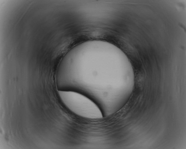 X0000097790746200803070935