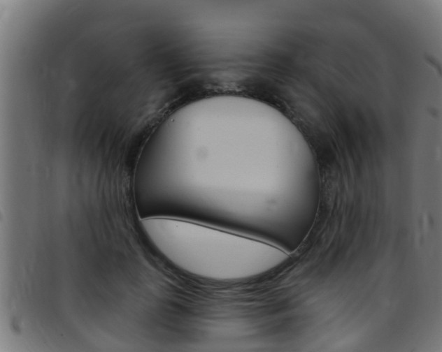 X0000097790747200803070935