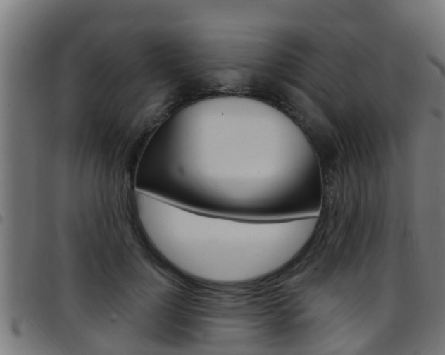 X0000097790748200803070935