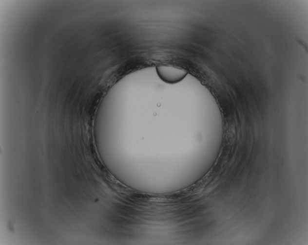 X0000097790749200803070935