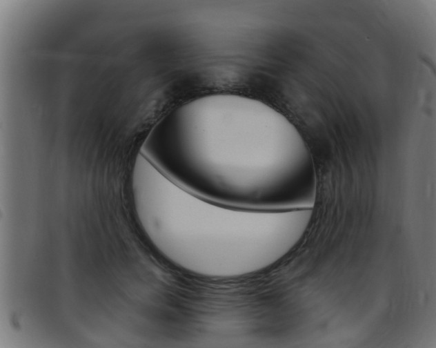 X0000097790750200803070935