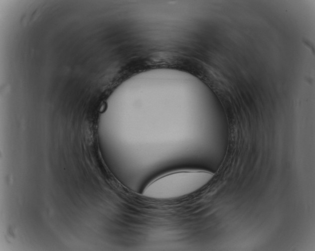 X0000097790751200803070935