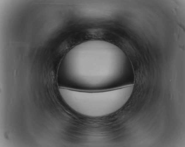 X0000097790752200803070935