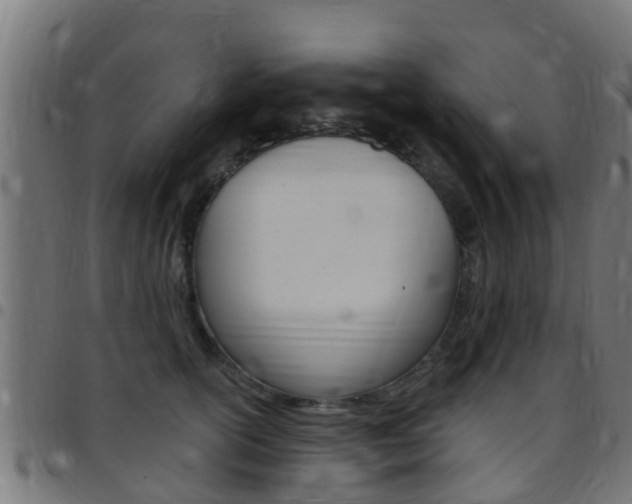 X0000097790754200803070935