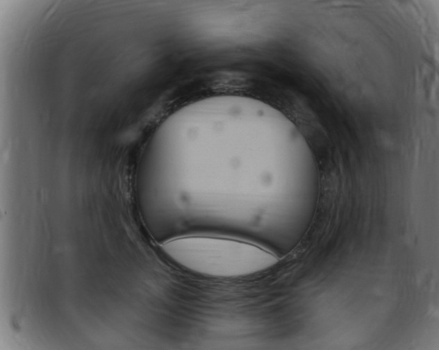 X0000097790755200803070935