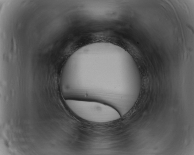 X0000097790757200803070935