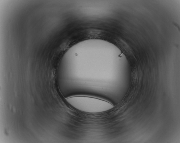 X0000097790759200803070935