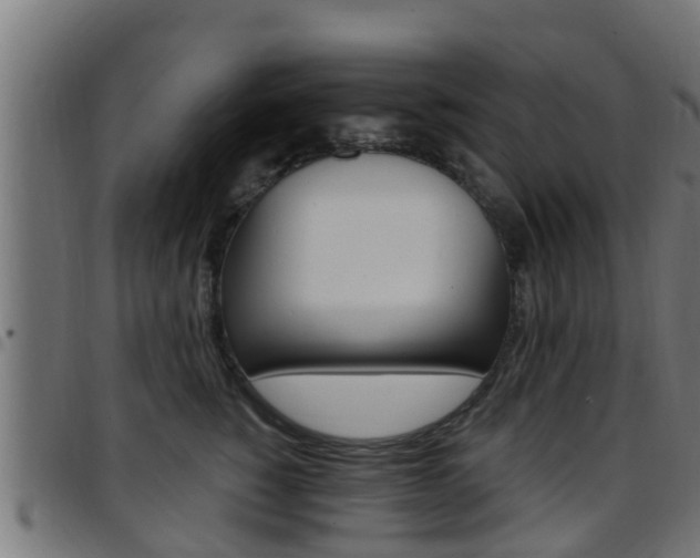 X0000097790760200803070935