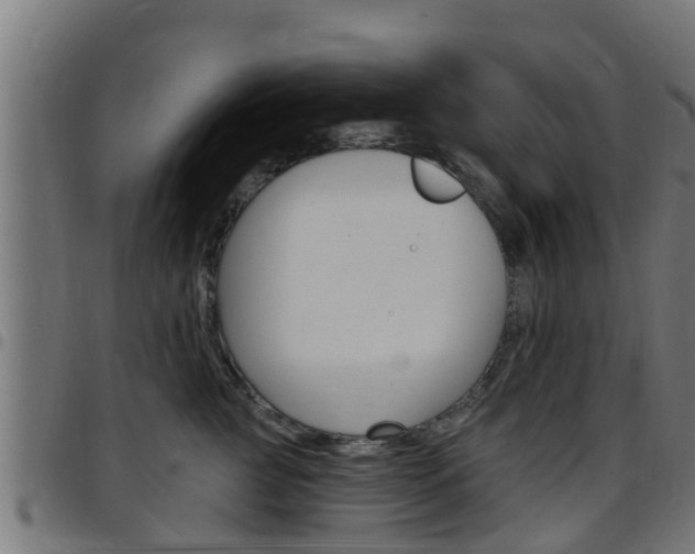 X0000097790761200803070935