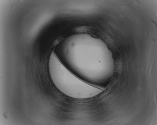 X0000097790762200803070935