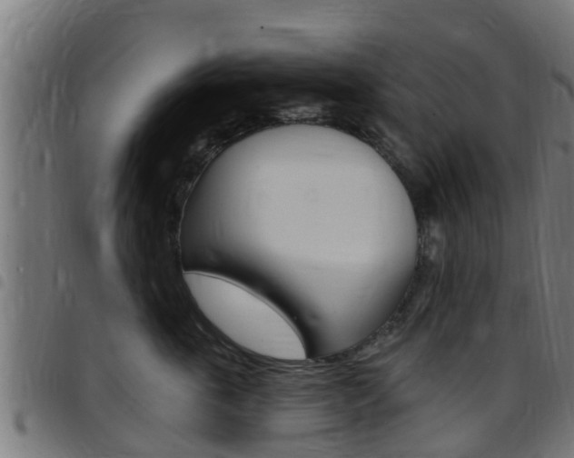 X0000097790763200803070935