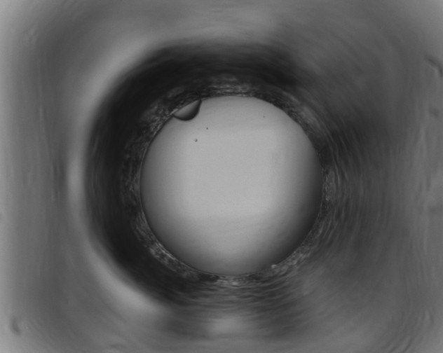 X0000097790764200803070935