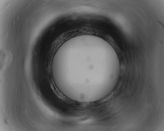 X0000097790765200803070935