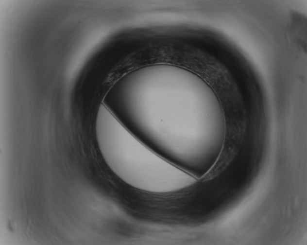 X0000097790766200803070935