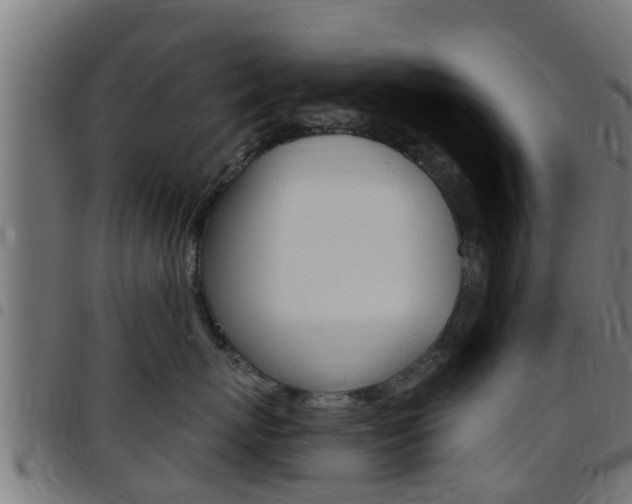 X0000097790767200803070935