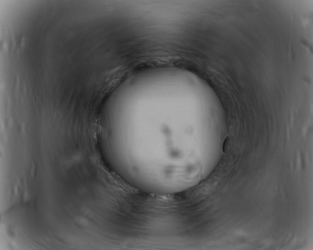 X0000097790768200803070935