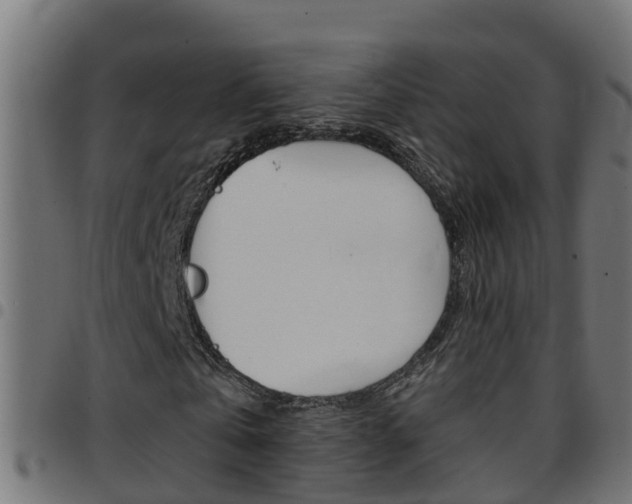 X0000097790769200803070934