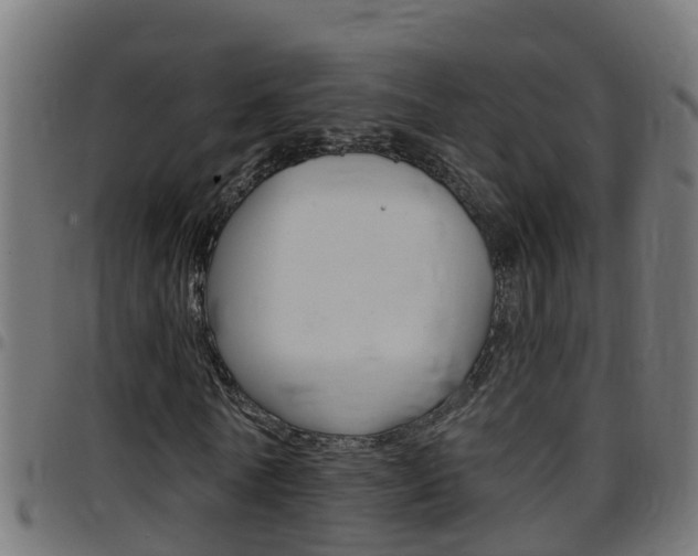 X0000097790770200803070934