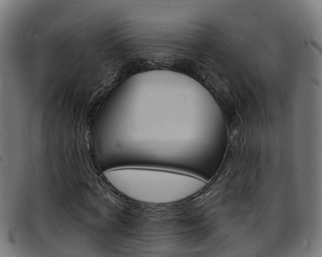 X0000097790772200803070934